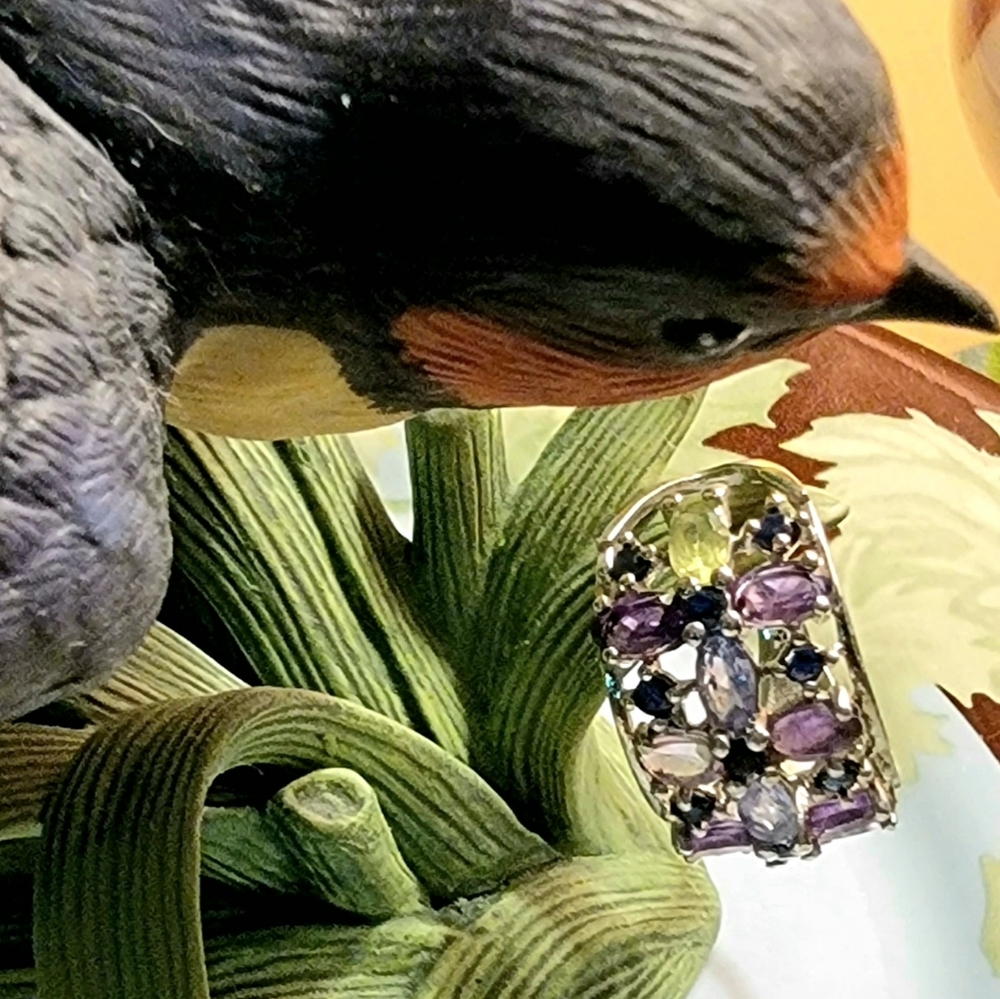COPY - 🦚  SS Multi-Gemstone Ring - Picture 10 of 16